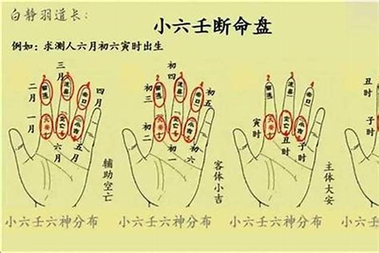 1981年属鸡的男人2025年运势如何