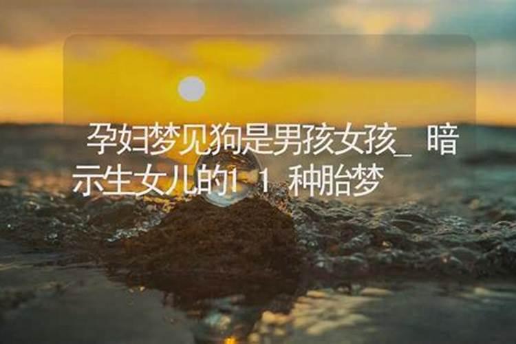 怀孕梦见狗生男生女是什么意思 预兆