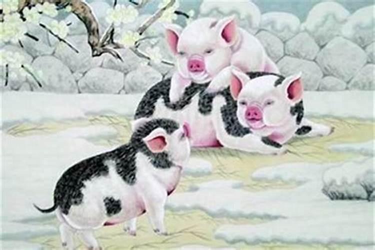 鸡狗生个什么属相的孩子,鸡和狗生什么属相宝贝比较好