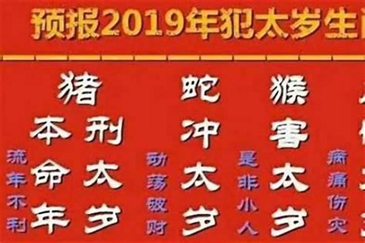 11月份出生的马好不好