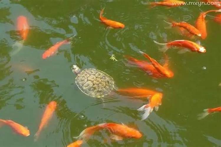 抄的心经经文拿到寺院师父说让自己放在寺庙香炉烧掉行吗？