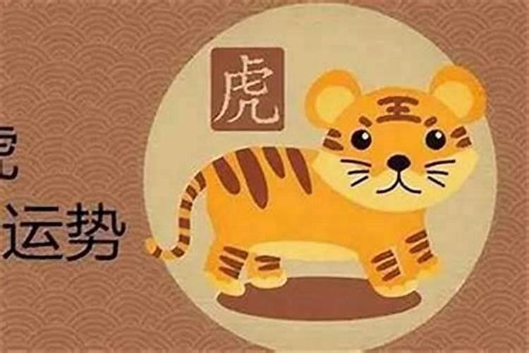 属相相刑怎么化解