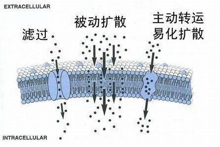 抄写佛经时应该要注意什么