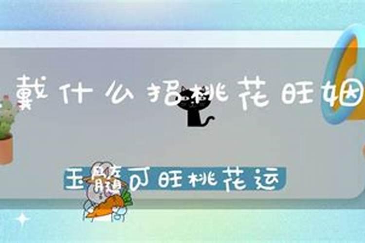 房间放什么招好姻缘