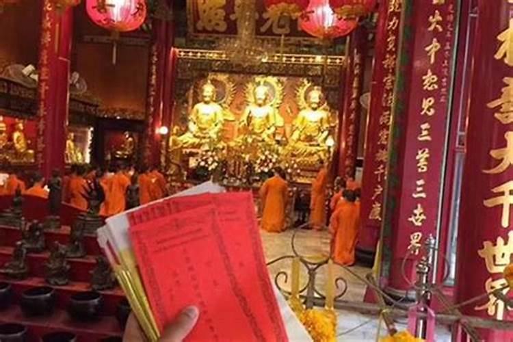 95属猪哪一年运势最好