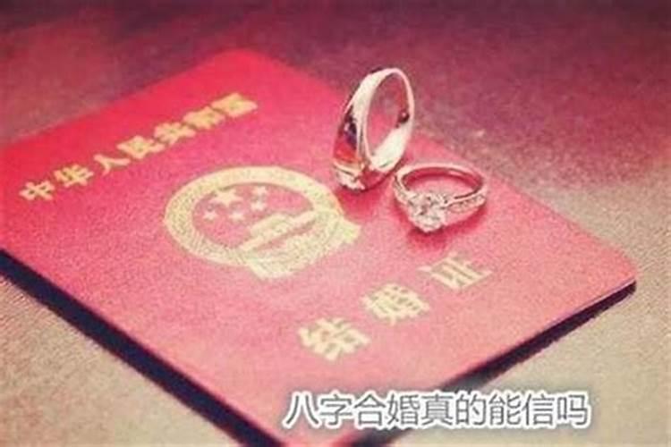 95年属猪什么时分翻身 这三个年份一定要掌握住？