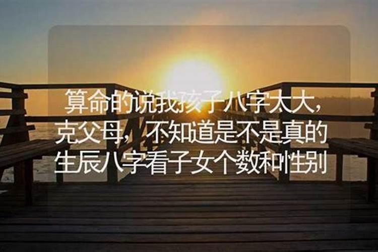 生肖猪2025年运势 属猪2025年运势及运程