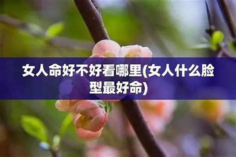 71年属猪女2025年运势