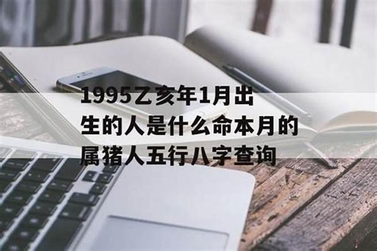 2025属猪人的全年每月运势