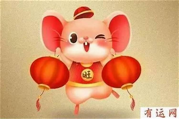 2025属猪的全年运势