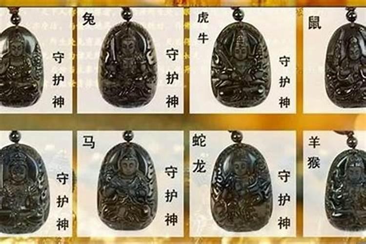 95属猪哪一年运势最好