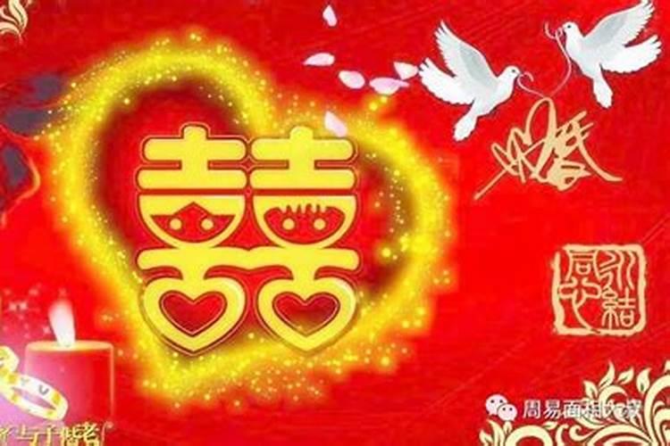2028犯太岁的属相都是什么