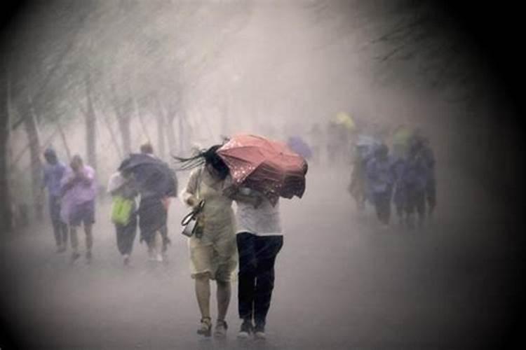 梦见结婚下雨的预兆