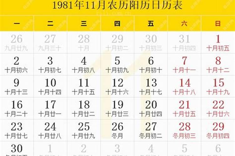 生于1981年农历十一月十九日申时生辰八字怎么写？