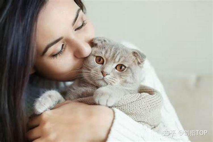 春节是指农历的正月初一还是指正月初一那一天？
