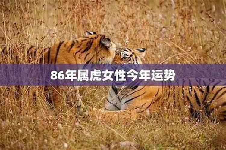 婴灵,不知道大家相信吗