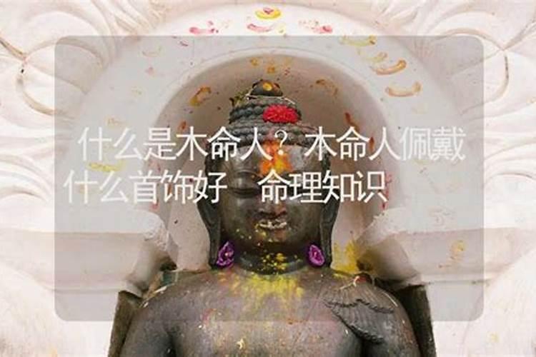 我属鼠阳历84年9月6日上午06:30生,请教我的命运如何？