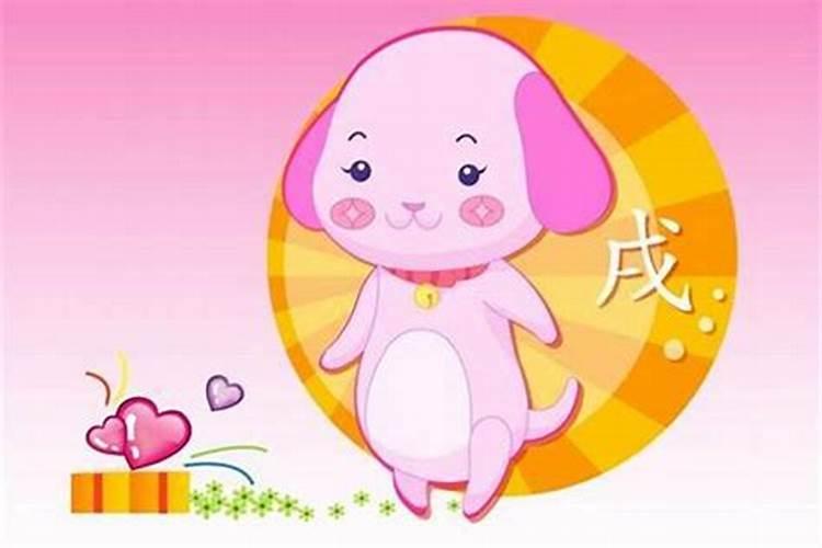 1987年属兔2025年的运势及运程如何