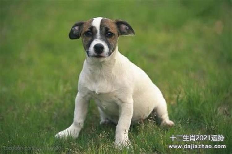 看双方八字是否正缘,八字互补的两个人是正缘吗