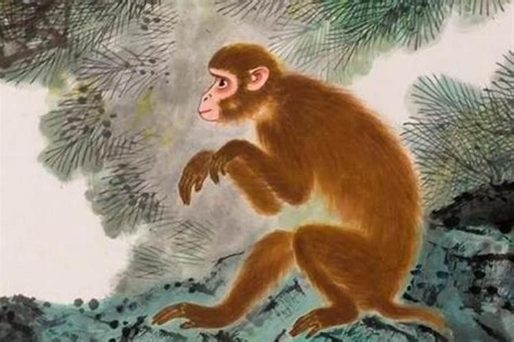80年的猴2025每月运势