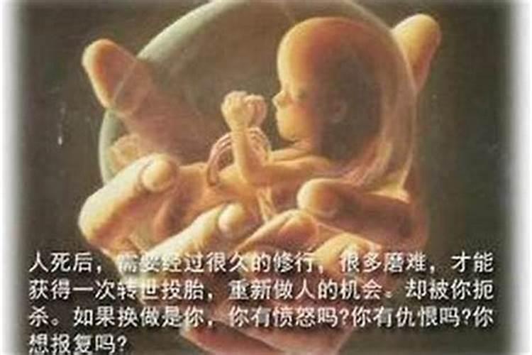 怀孕9周人流  百度宝宝知道