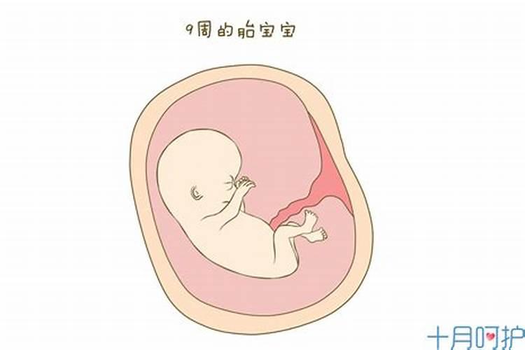 打胎掉的孩子会回来报复吗,我打胎了,现在很后悔,怎么办