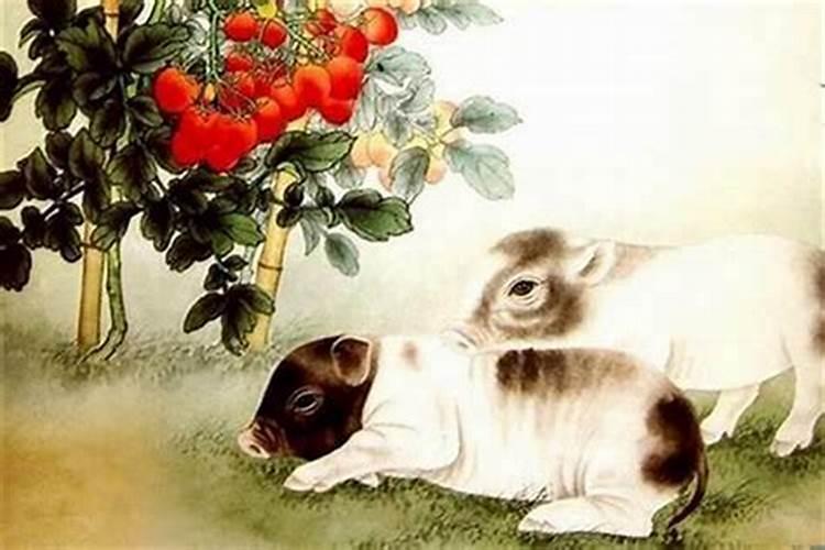 男93年属鸡和女92年属猴的在一起好吗