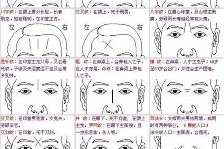 77年男属蛇和83年女属猪结婚能白头到老吗？