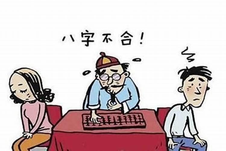 养狗狗风水知识大全？
