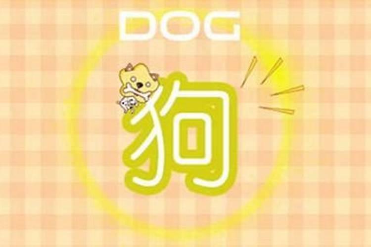 八字合婚属狗跟属狗的算婚姻最好的是什么结果最坏是什么结果
