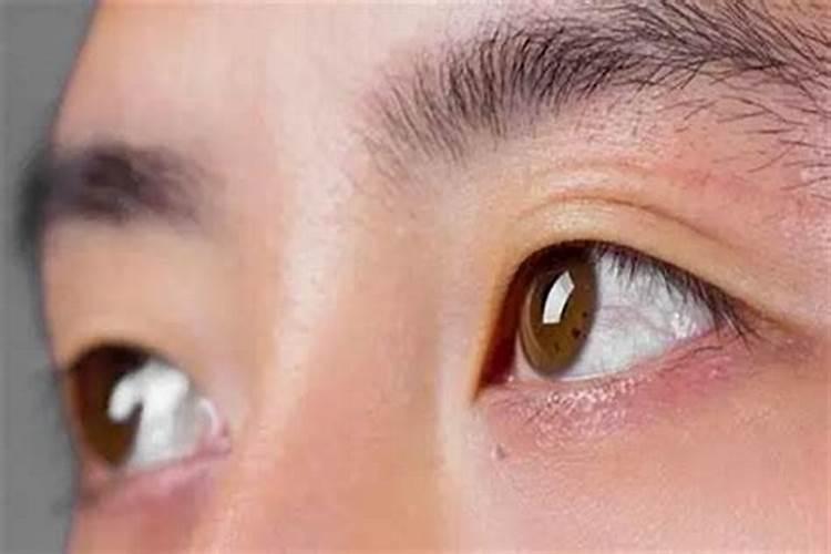 梦见活着的姐姐死去了的预兆