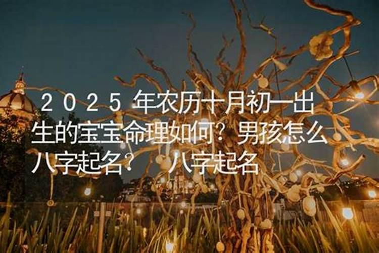 属猪71年农历十月初一生的男性15年每月财运