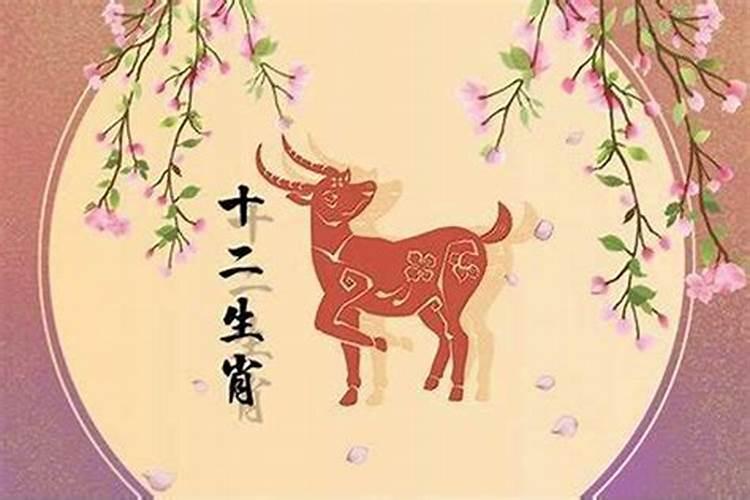 婚姻算命到底准不准？