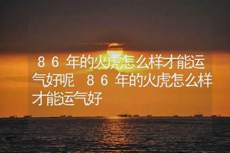 1986年10月份的虎是什么命