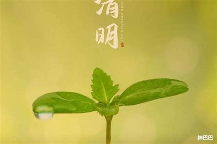 如何使用生辰八字看未来的婚姻状况？