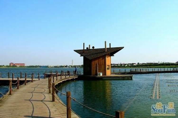 清明小长假适合去哪旅游四月七大赏花胜地