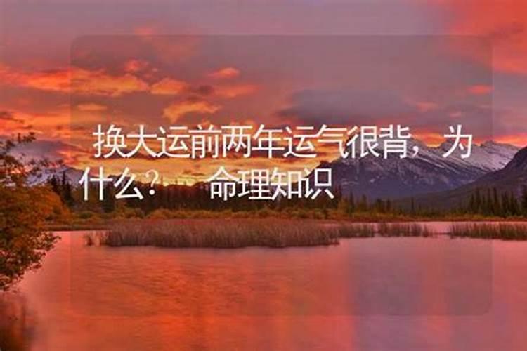 属羊为什么不能配狗 属羊与属狗在一起会如何