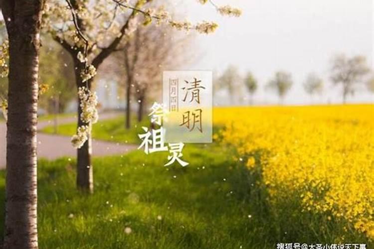 去世的人第一个清明节上坟吗
