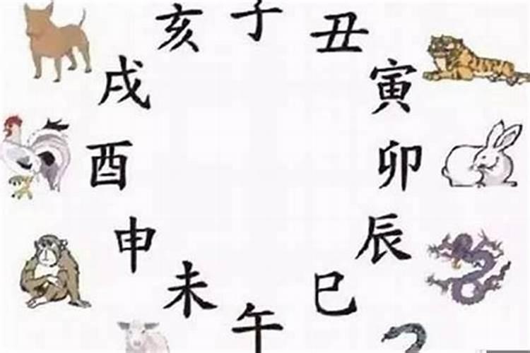 1985属牛女2025年的运气和财运怎么样