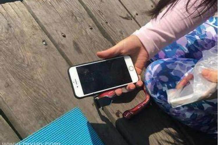 梦见拾到手机又归还失主