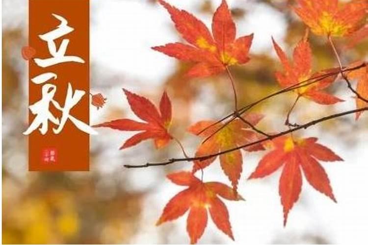 中国所有节日英文版