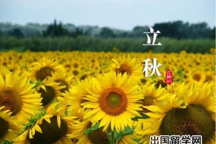 2024年重阳节是什么时候？几月几日？