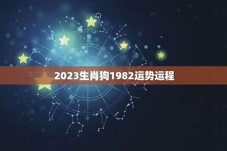 1982年正月出生的属狗人2023年,属狗九月生人命运如何