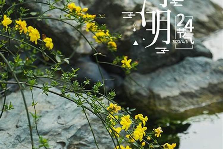 冬至后第108天就是清明节气。清明节气共有15天。作为节气的清明...百...