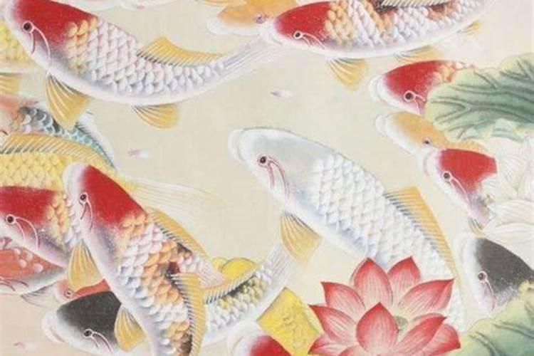 冬至为什么吃饺子,喝鸡汤