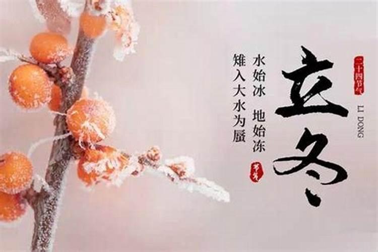 立冬的资料
