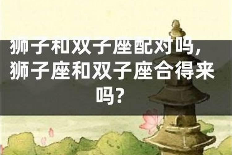 辜负双子属兔男的星座属相女,男属兔双子座和女属羊天蝎座配对吗
