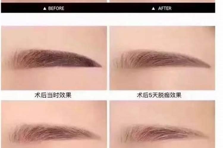 道教有什么活动？