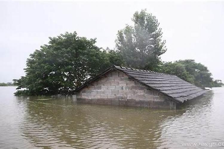 女人梦见水淹了房子满地是水