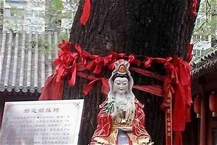 补财库最有效的方法？